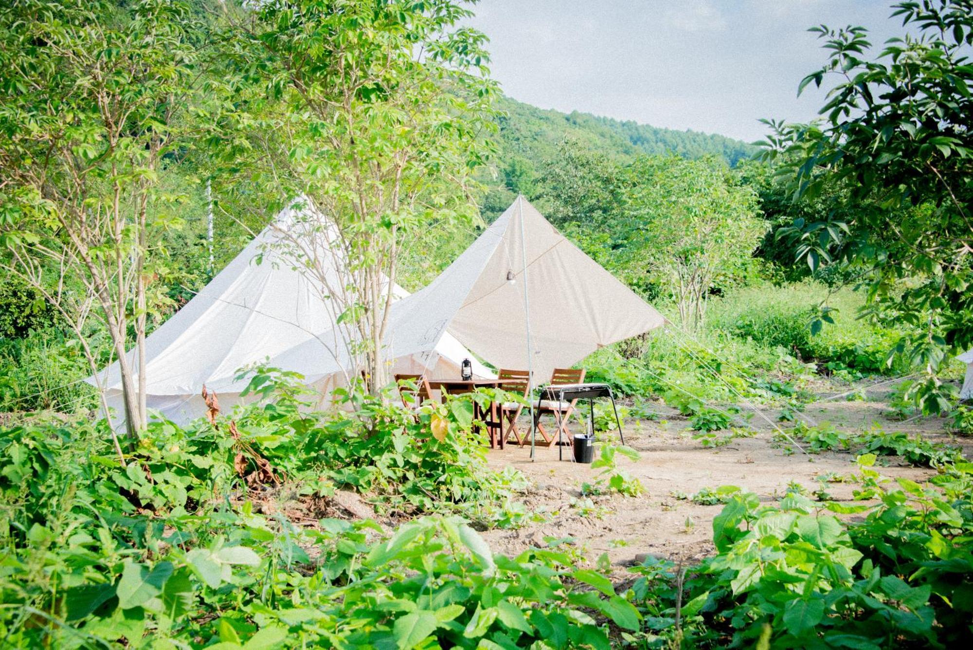 Hotel Yoichi Vineyard Glamping Esterno foto