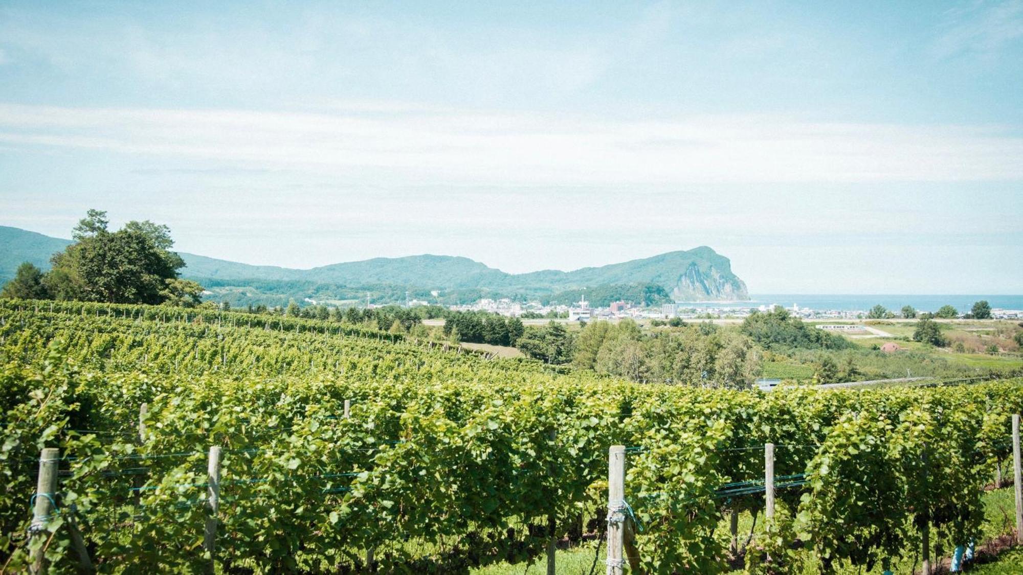 Hotel Yoichi Vineyard Glamping Esterno foto
